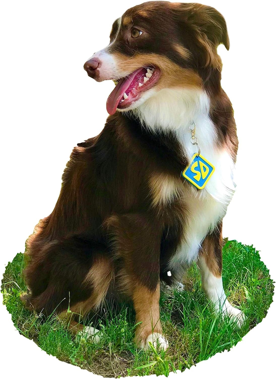  Cat/Dog Halloween Collar Tag 
