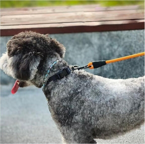 Heavy Duty Rope Dog Leash