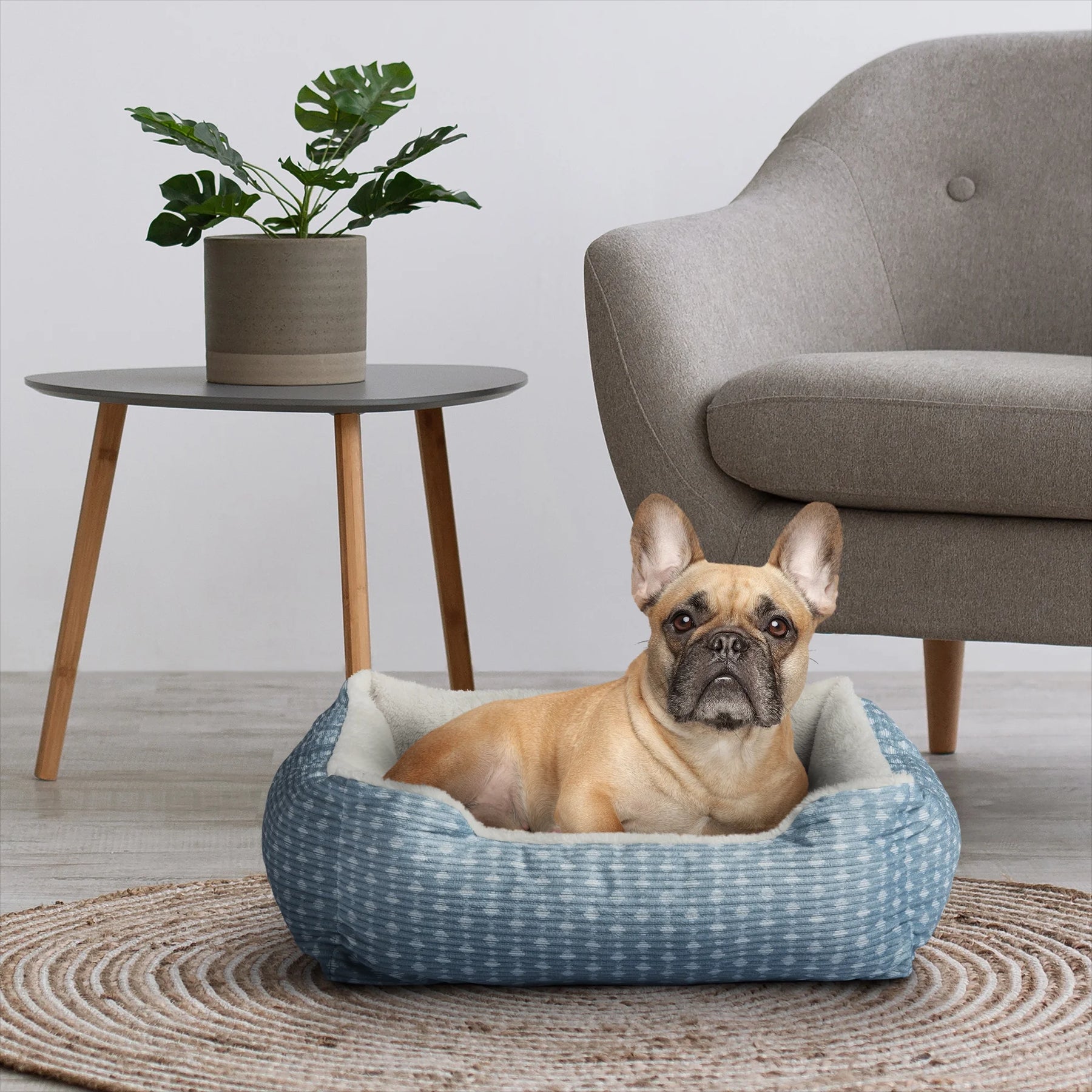 Bed for Your Pets