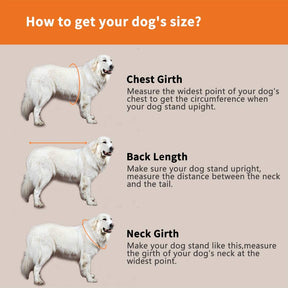 Dog Life Jacket