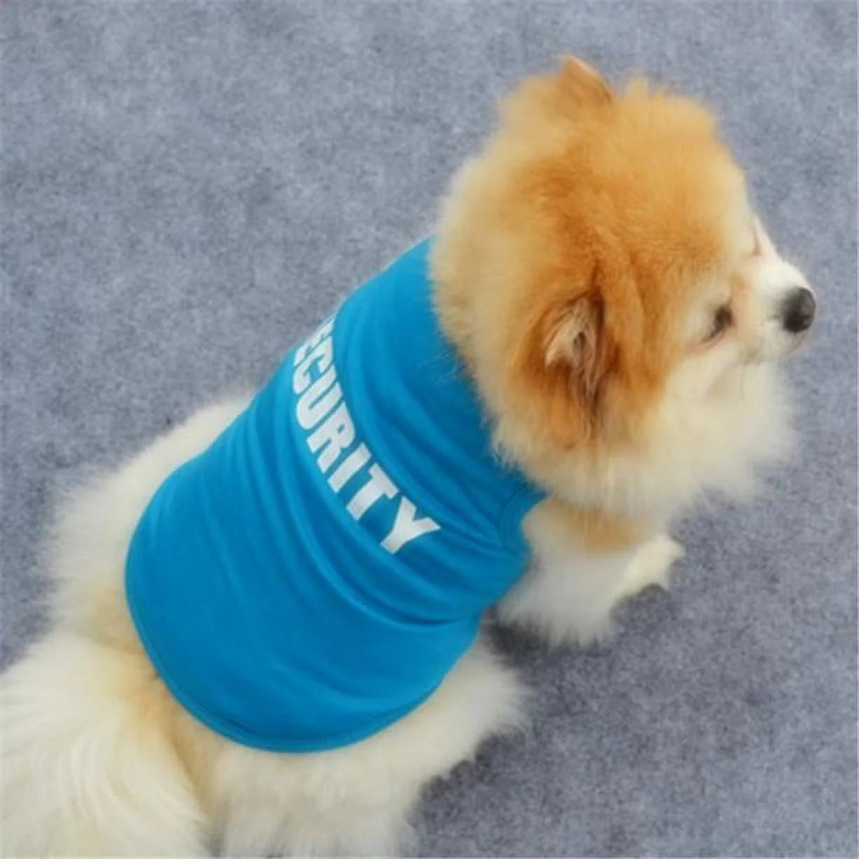 Small Dog Printed Pullover 
