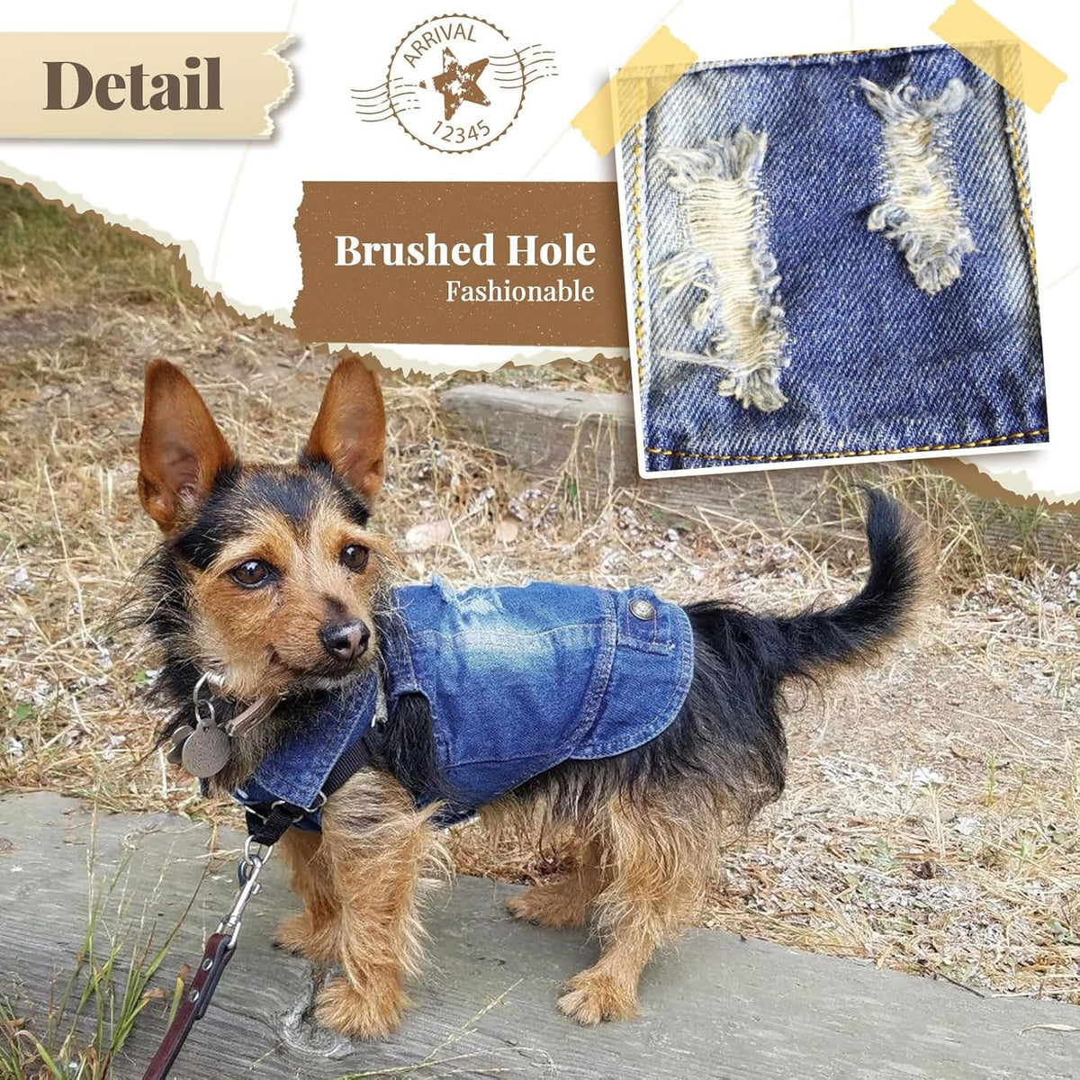 Cool Dog Denim Jacket 