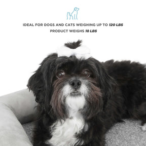 Small Wooden Elevated Pet Bed with Mattress