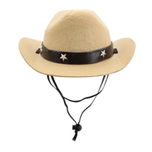 Summer Pet Hat