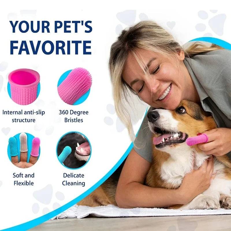 Interactive Launch Training pet 