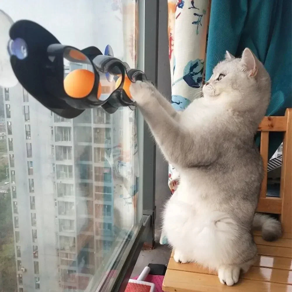 New Track ball Cat Toy 