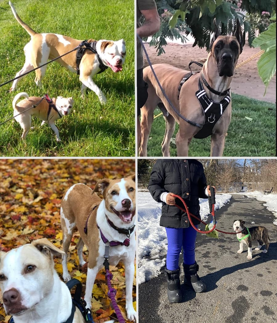 Heavy Duty Rope Dog Leash