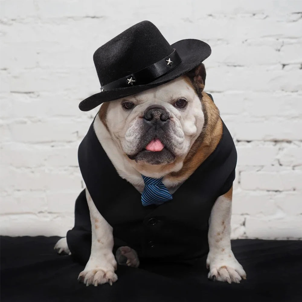 Summer Pet Hat