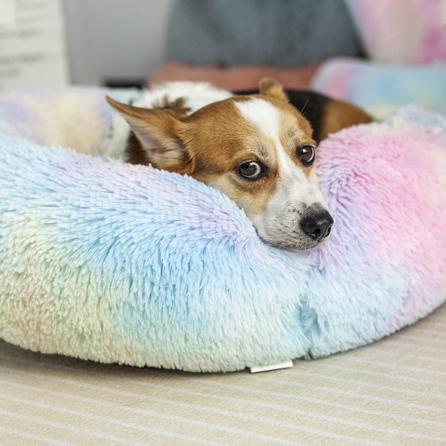 Round Fluffy Washable Pet Bed
