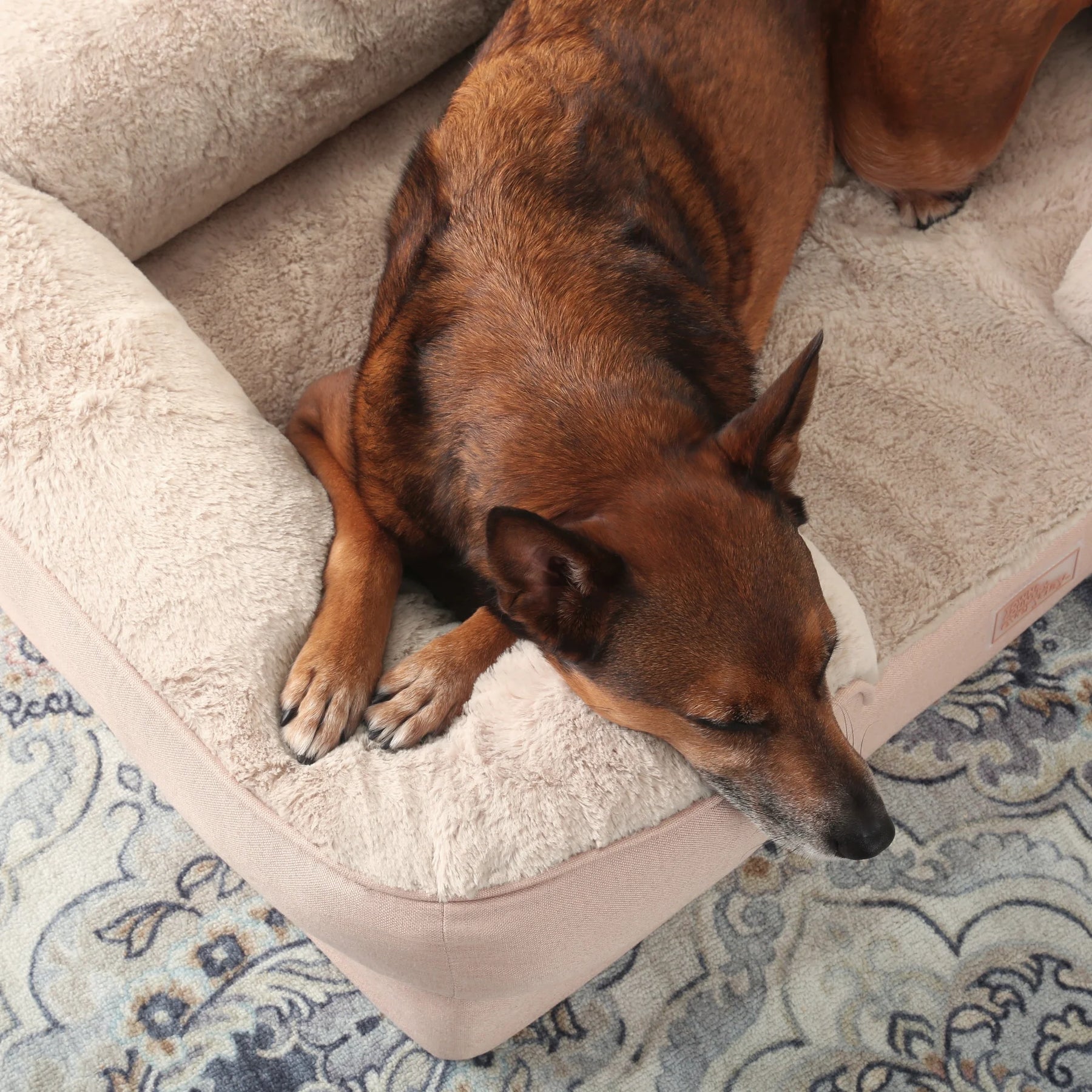 Comfy Solid Bolster Sofa Pet Bed