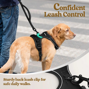 No Pull Dog Harness