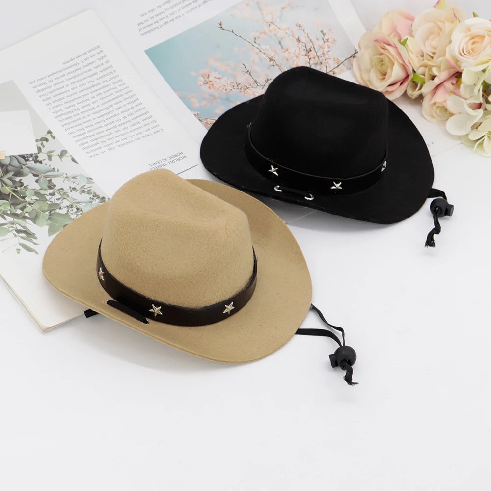 Summer Pet Hat